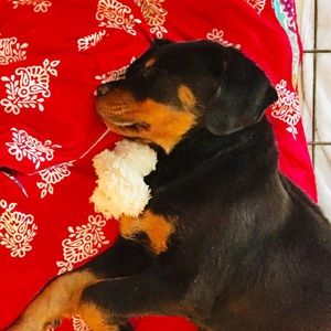 Meet your Posher, Christine